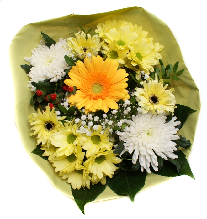 <h4>2025004 Geel</h4>