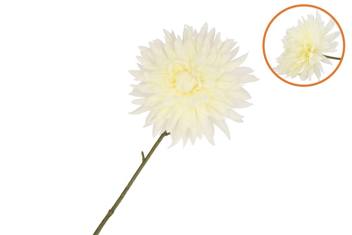 <h4>Silk Dahlia Pointy Off White 65cm Nm</h4>