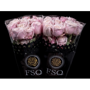 R GR Gar Yuyi Gardens