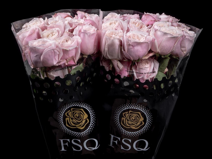 <h4>R GR Gar Yuyi Gardens</h4>