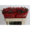 Hypericum True Romance