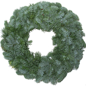 KRANS NOBILIS ROND 60CM