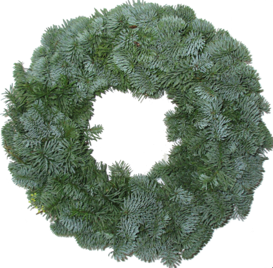 <h4>KRANS NOBILIS ROND 60CM</h4>