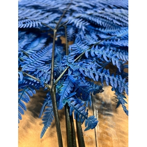 GESTABILISEERD VAREN BLAUW