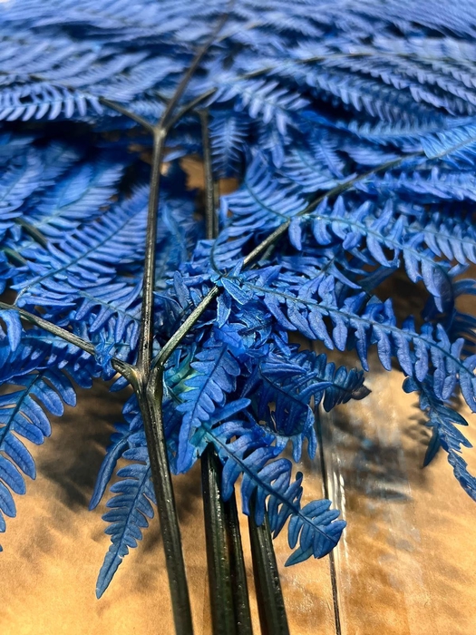 <h4>GESTABILISEERD VAREN BLAUW</h4>