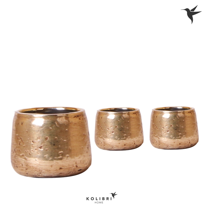 <h4>Kolibri Home Luxury pot gold</h4>