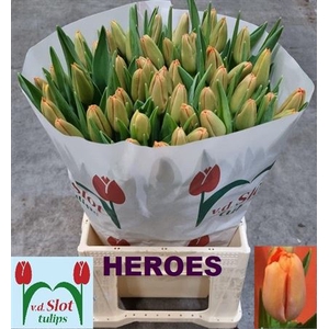 Tu En Heroes