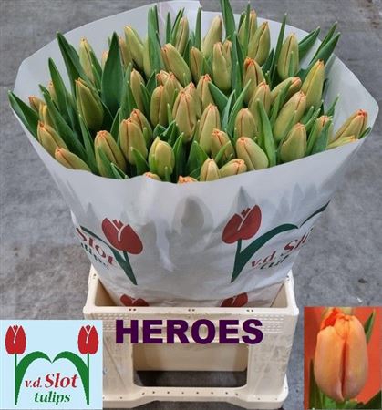 Tu En Heroes