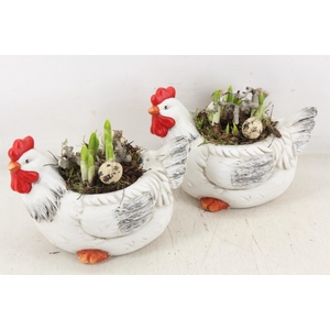 arr4 Narcis MB - Ker. kip x3