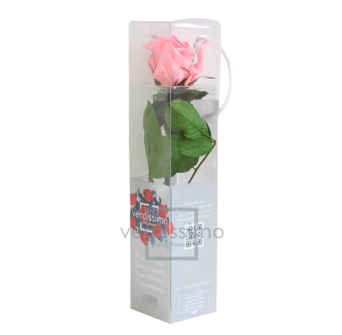 Roos op steel mini 27,5cm Pastel pink