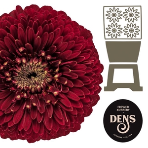 Germini Pomponi Black Pearl Diamond