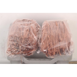 Pineneedles Copper Bag