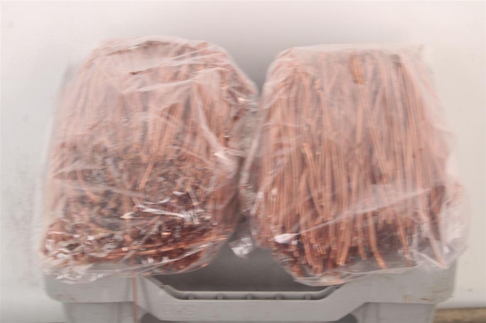 <h4>Pineneedles Copper Bag</h4>