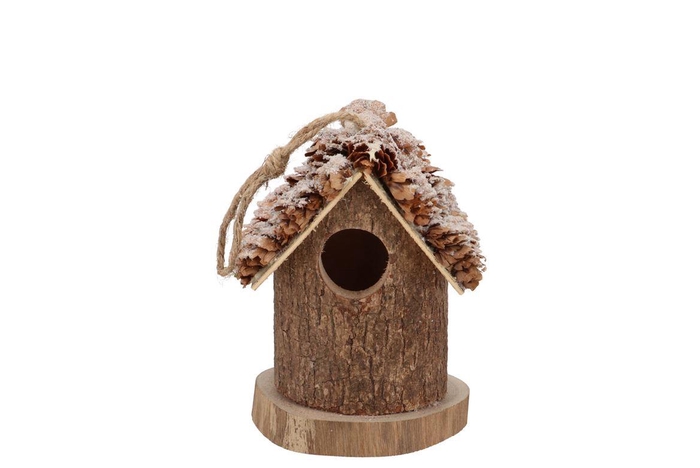 <h4>Festive Bird Nest Pine Moss With Snow 10x10x12cm</h4>