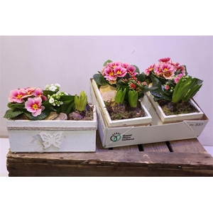 arr8 Arr Pl In Houten Decobakje