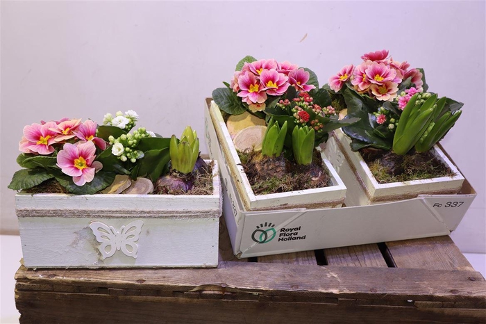 <h4>arr8 Arr Pl In Houten Decobakje</h4>