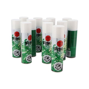 Floristry Leaf Gloss 12 Pieces 250ml