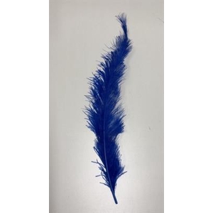 DROOG STRUISVOGELVEREN BLAUW