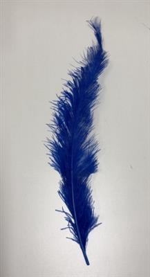 <h4>DROOG STRUISVOGELVEREN BLAUW</h4>