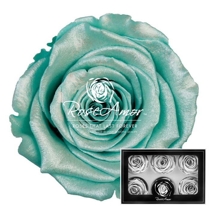 <h4>Lplus Satin Tiffany Blu02</h4>