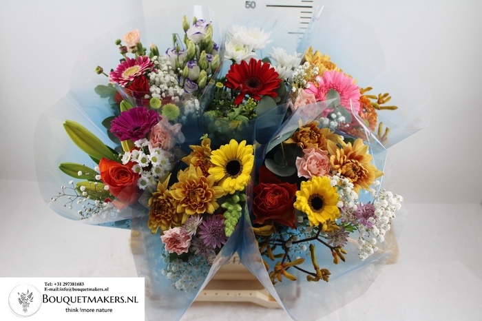 <h4>GEM BOEKET OV</h4>