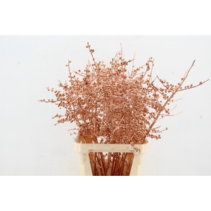 Ilex ve Copper 100cm Creative