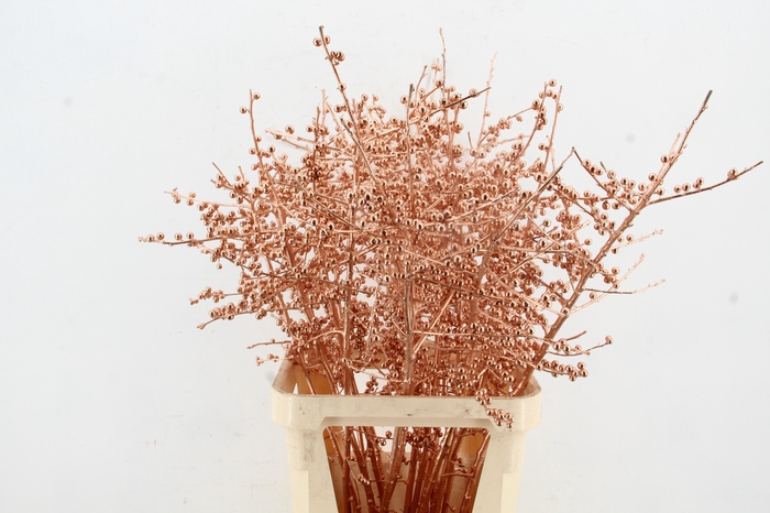 <h4>Ilex ve Copper 100cm Creative</h4>