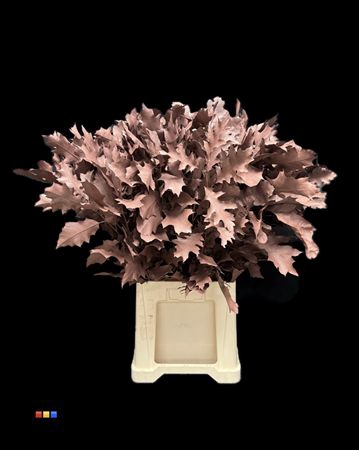 Eikeblad Choco Brown 60cm