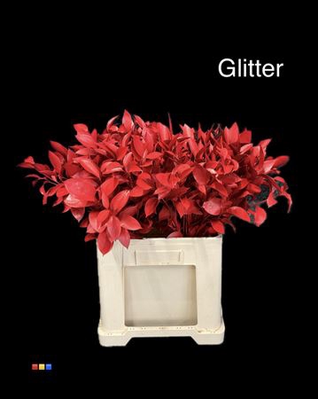 <h4>Ruscus Red + Glit Bio</h4>