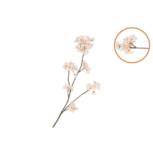 Silk Cherry Blossom Champagne 85cm