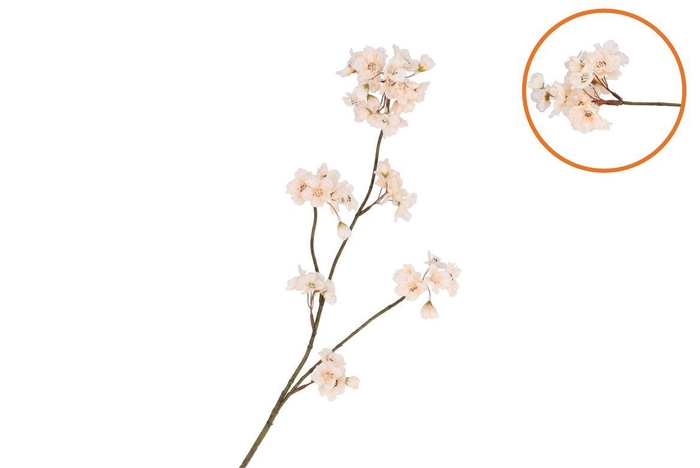 <h4>Silk Cherry Blossom Champagne 85cm</h4>