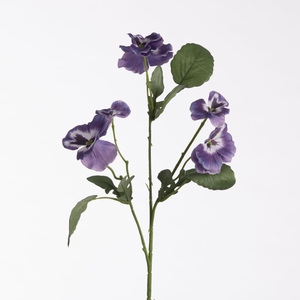 Af Viola L65cm Purple