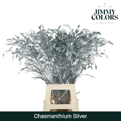 <h4>Chasmanthium L70 Metallic Silver</h4>