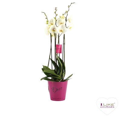 <h4>Deco Leeds - 3/4 tak</h4>