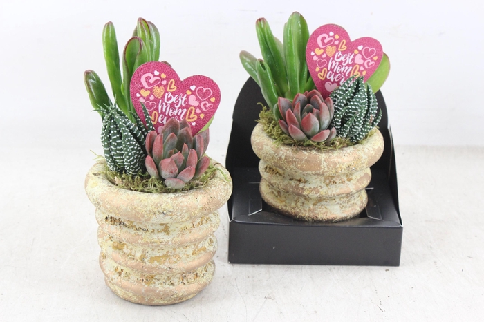 <h4>arr3 AD - Mother's day ker. rond kl. x6</h4>