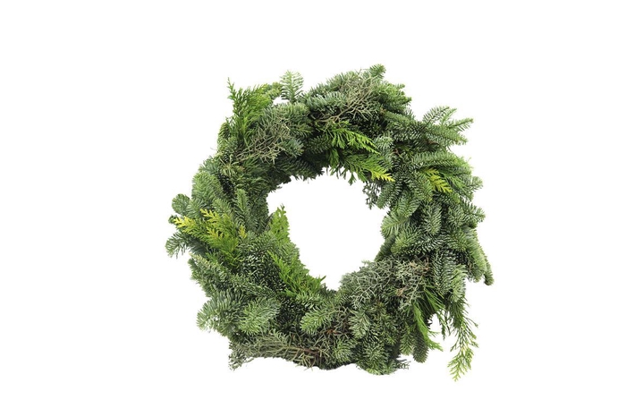 <h4>Krans Mix Nobilis Half 40</h4>