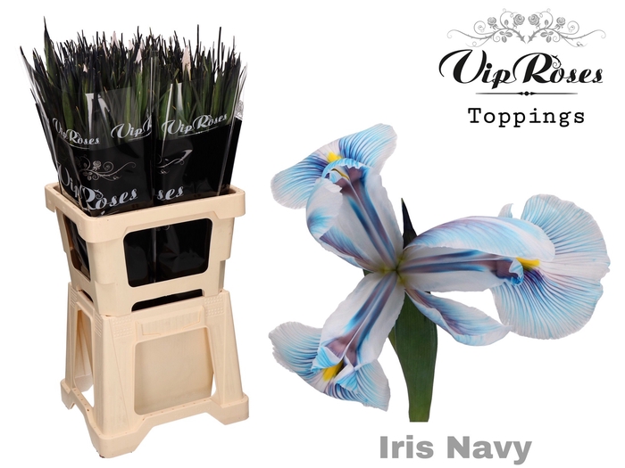 IRIS NAVY
