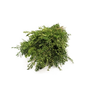 Buxus Pak 3 Kg