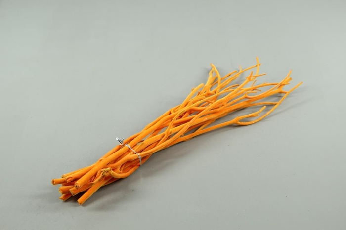 <h4>Mitsumata Flock Orange Bs(10)</h4>