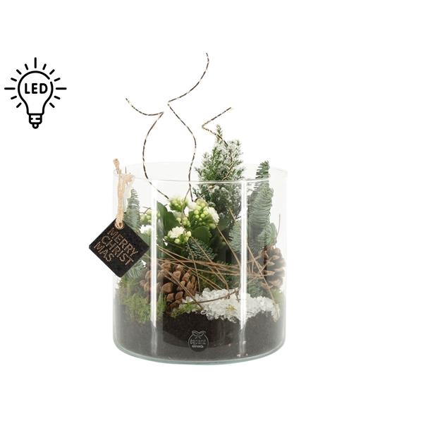 <h4>61714: X-mas arrangement met LED</h4>