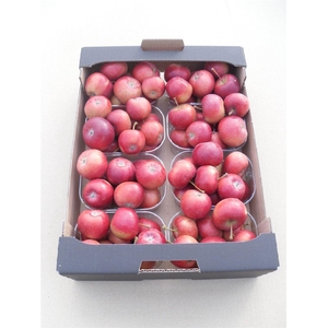 Sier Malusappel Red X8