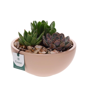 Schaal keramiek Moon Large met Arrangement