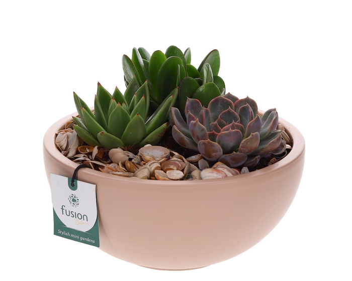 <h4>Schaal keramiek Moon Large met Arrangement</h4>