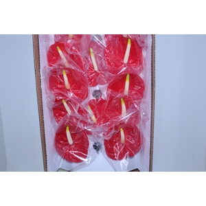 ANT TROPICAL 11/13 040 CM DIAM MIN 11 CM VERMELHO