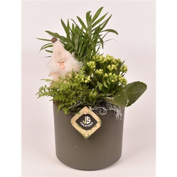 <h4>Keramiek pot 14 cm groen</h4>