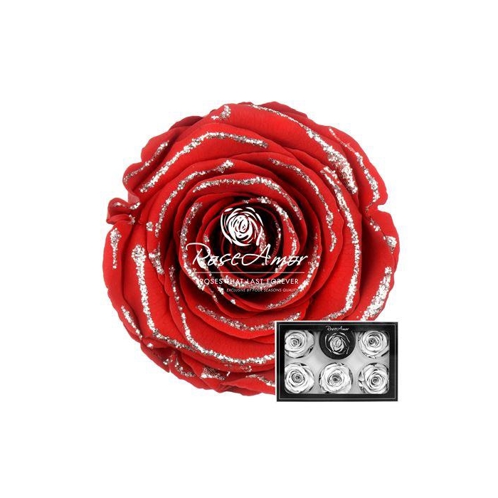 <h4>Xl Glitter Silver Red02</h4>