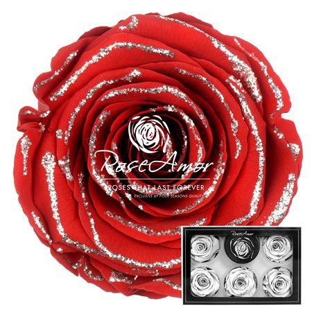 Xl Glitter Silver Red02