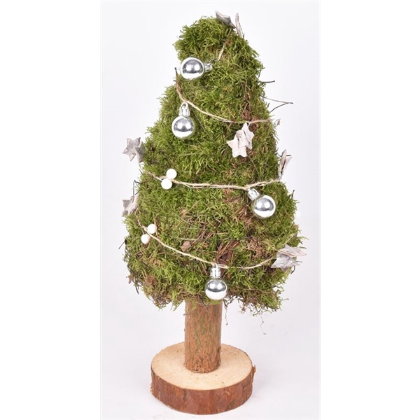 <h4>Natuur mos boom rond 40cm</h4>