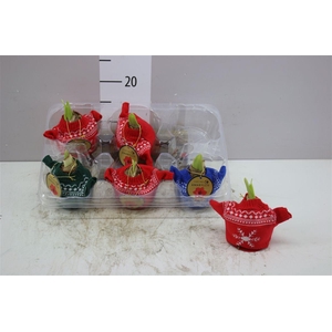 Hippeastrum In Bodywarmer Mix