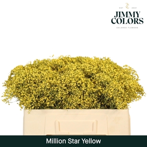 Gyps Million Star l50 Yellow